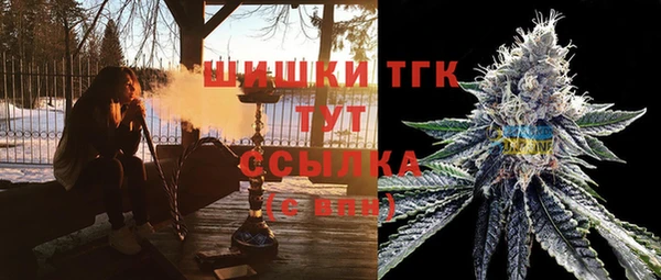 молекула духа Инсар