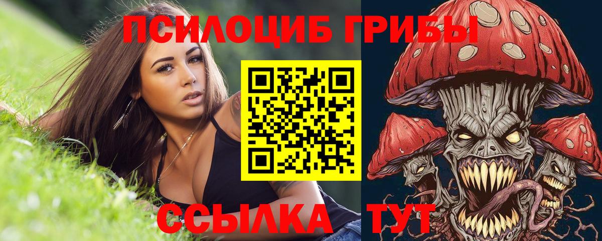 Псилоцибиновые грибы прущие грибы Чапаевск