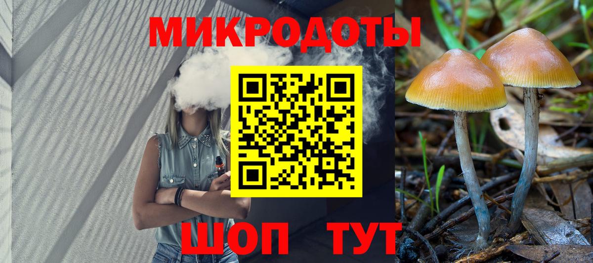 Псилоцибиновые грибы мухоморы Чапаевск