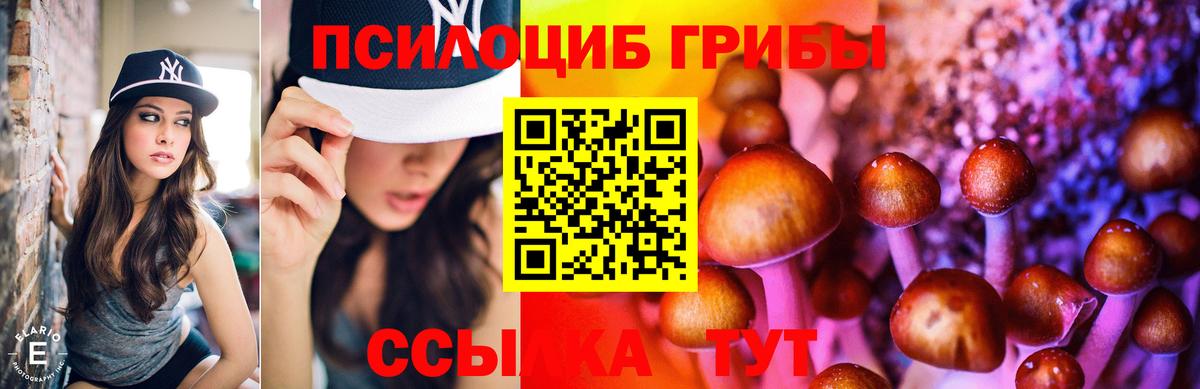 Псилоцибиновые грибы GOLDEN TEACHER  Чапаевск  Псилоцибиновые грибы MAGIC MUSHROOMS 