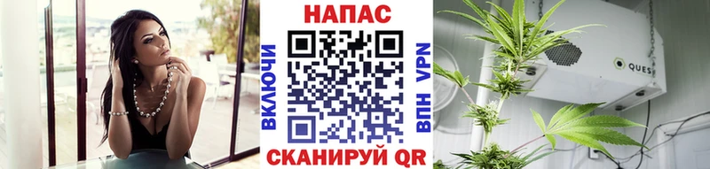 Шишки марихуана AK-47  hydra ССЫЛКА  Чапаевск  сколько стоит 